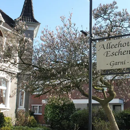 Hotel Alleehotel-eschen